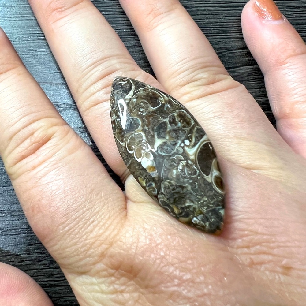 Turritella Agate Fossil Ring